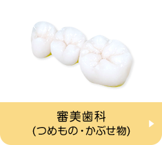 審美歯科(つめもの・かぶせ物)